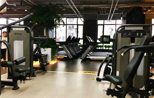 探秘襄陽舒揚文體 戶外健身器材如何塑造城市健康新生態